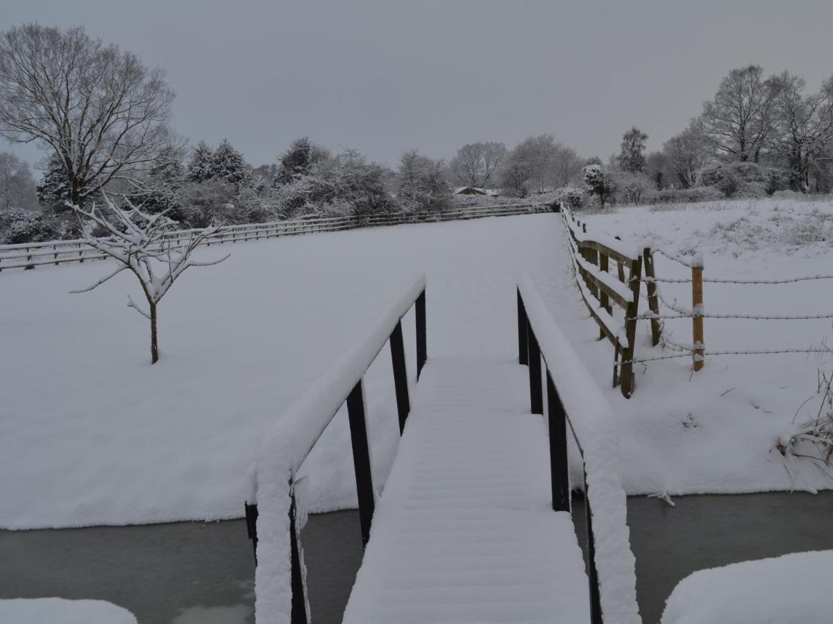 Wortwell Hall Barn Luaran gambar